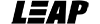 Leap Gaming